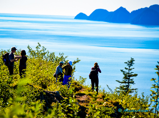 Kenai Fjords Guided Hiking